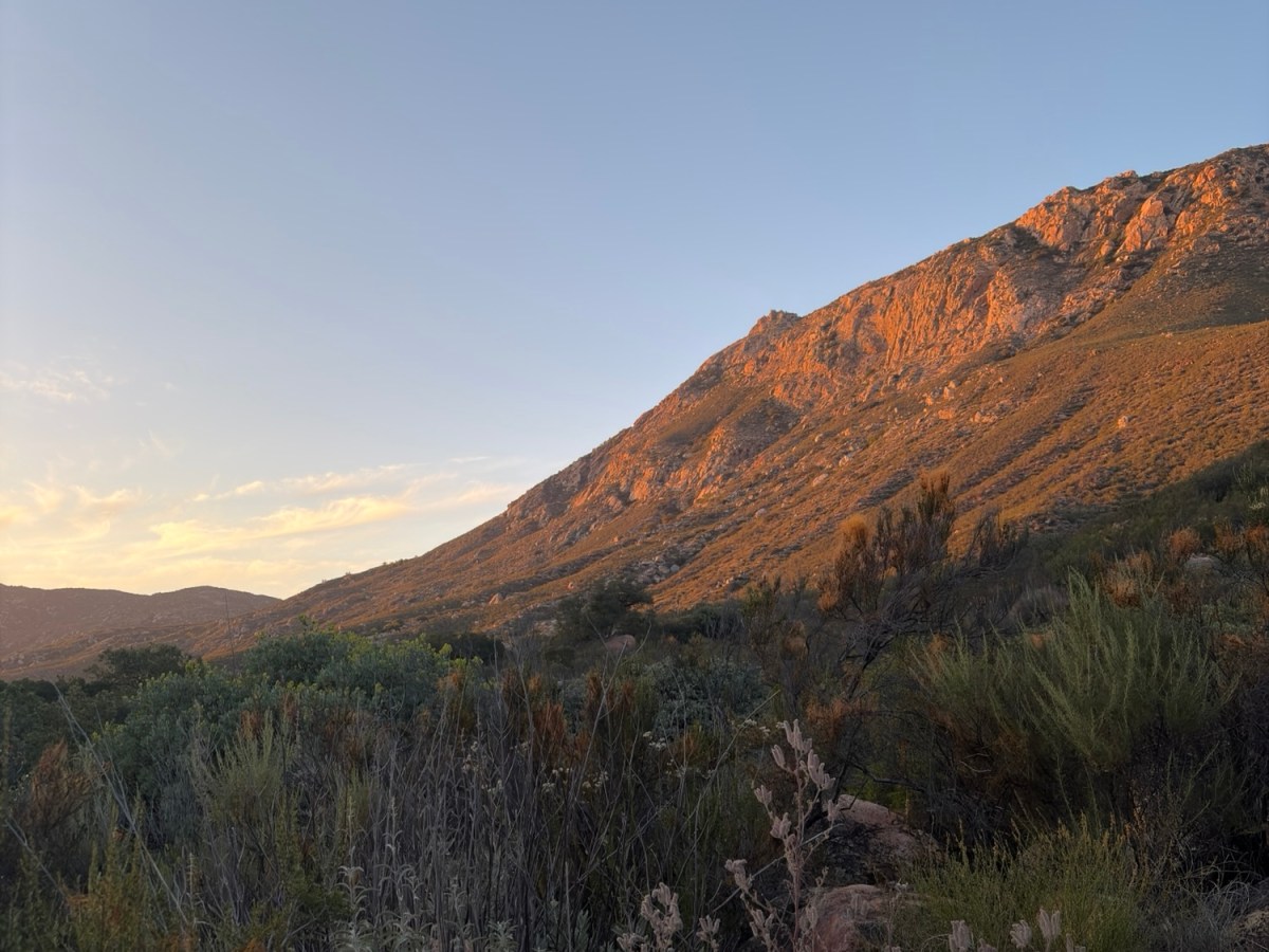 Day 1 to 4 – Campo to Mount&nbsp;Laguna